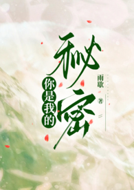 你是我的秘密歌曲完整版
